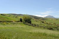 Le village de Plakias en Crète. Pâturages dans la région d'Angouseliana. Cliquer pour agrandir l'image dans Adobe Stock (nouvel onglet).