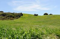 Le village de Plakias en Crète. Pâturages dans la région d'Angouseliana. Cliquer pour agrandir l'image dans Adobe Stock (nouvel onglet).