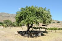 Le village de Zakros en Crète. Le site archéologique de Zakros. Cliquer pour agrandir l'image dans Adobe Stock (nouvel onglet).