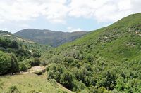 La ville d’Agia Fotini en Crète. La vallée de la rivière Doria près d'Apostoli. Cliquer pour agrandir l'image dans Adobe Stock (nouvel onglet).