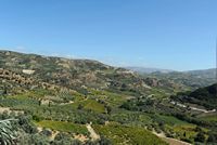 La ville d’Héraklion en Crète. Le vignoble de Venerato. Cliquer pour agrandir l'image dans Adobe Stock (nouvel onglet).