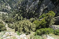 La ville de Sfakia en Crète. Les gorges d'Imbros vues depuis la route. Cliquer pour agrandir l'image dans Adobe Stock (nouvel onglet).