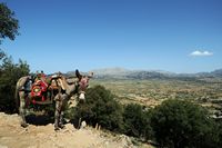 Le plateau du Lassithi en Crète. Mule de la grotte du Dicté. Cliquer pour agrandir l'image dans Adobe Stock (nouvel onglet).