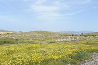 Le sanctuaire d'Apollon à Délos en Grèce. Les ruines du sanctuaire vues de l'est. Cliquer pour agrandir l'image.