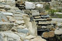 Le site archéologique de Délos en Grèce. Lézard agame stellion (Stellagama stellio). Cliquer pour agrandir l'image.