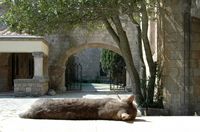 Claustro del monasterio de Filérimos en Rodas. Haga clic para ampliar la imagen.