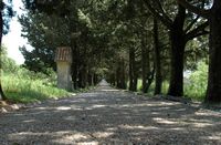 Camino de cruz del monasterio de Filérimos en Rodas. Haga clic para ampliar la imagen.