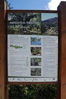 La flore et la faune de l’île de Crète. Panneau d'information du faux orme de Crète. Cliquer pour agrandir l'image.