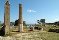 Doric temple of Apollo at Rhodes Camiros site. Click to enlarge the image.