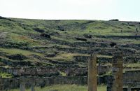 Burned vegetation at the site of Camiros Rhodes. Click to enlarge the image.