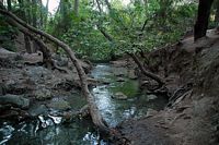 Het dal van de zeven bronnen in Rhodos. Klikken om het beeld te vergroten.