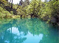 Vijver van het dal van de zeven bronnen in Rhodos. Klikken om het beeld te vergroten.