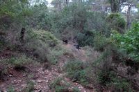 El valle de las siete fuentes en Rodas. Haga clic para ampliar la imagen.