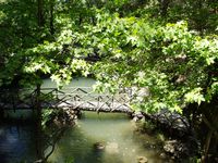 Het dal van de vlinders in Rhodos. Klikken om het beeld te vergroten.