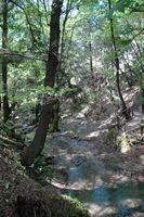 The valley of Butterflies in Rhodes. Click to enlarge the image.