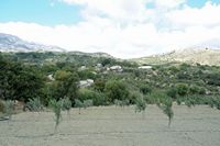 Le village d'Agia Varvara en Crète. Les « tartes de grand-mère » à Prinias. Cliquer pour agrandir l'image.