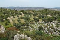 Olijfgaard van Asclépios in Rhodos. Klikken om het beeld te vergroten.