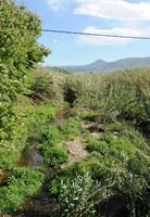 Le village d’Épiskopi en Crète. Le cours inférieur de la rivière Mousselas. Cliquer pour agrandir l'image.