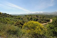 Le village de Garazo en Crète. Le Psiloritis vu depuis la route de Garazo à Axos. Cliquer pour agrandir l'image.