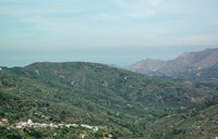 La ville d’Anogia en Crète. Vautour fauve vu d'Axos. Cliquer pour agrandir l'image.