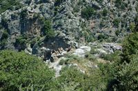 La ville d’Anogia en Crète. Attroupement de vautours fauves (Gyps fulvus) sur une falaise d'Axos. Cliquer pour agrandir l'image.