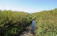 Le village de Georgioupoli en Crète. L'embouchure de la rivière Mousselas à Dramia. Cliquer pour agrandir l'image.