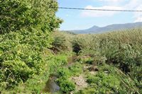 Le village de Georgioupoli en Crète. Le cours inférieur de la rivière Mousselas à Dramia. Cliquer pour agrandir l'image.