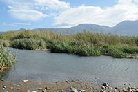 Le village de Georgioupoli en Crète. L'embouchure de la rivière Mousselas à Dramia. Cliquer pour agrandir l'image.