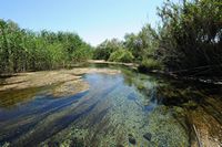 Le village de Georgioupoli en Crète. La rivière Perastikos. Cliquer pour agrandir l'image.
