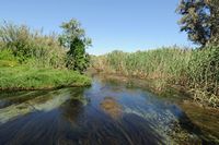 Le village de Georgioupoli en Crète. La rivière Perastikos. Cliquer pour agrandir l'image.