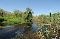 Le village de Georgioupoli en Crète. La rivière Perastikos. Cliquer pour agrandir l'image.