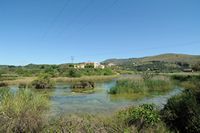 Le village de Georgioupoli en Crète. Le lac de l'Almyros. Cliquer pour agrandir l'image.