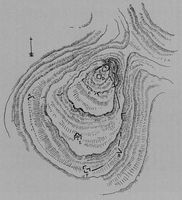 Le village de Kalyvès en Crète. Plan du Castel del Apicorno par Giuseppe Gerola vers 1902. Cliquer pour agrandir l'image.