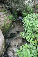 Le village de Kalyves en Crète. Les sources de la rivière Kyliaris à Stylos. Cliquer pour agrandir l'image.