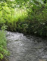 Le village de Kalyves en Crète. Les sources de la rivière Kyliaris à Stylos. Cliquer pour agrandir l'image.
