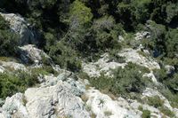 Le village et le château de Monolithos sur l’île de Rhodes. Falaise de la forteresse de Monolithos. Cliquer pour agrandir l'image.