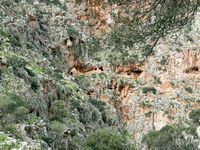 La presqu’île de l’Akrotiri en Crète. Grottes près du monastère du Katholiko (auteur Wolfgang Sauber). Cliquer pour agrandir l'image.