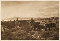 La presqu’île de l’Akrotiri en Crète. Labour sur la presqu'île de l'Akrotiri (auteur Frédéric Boissonnas, 1919). Cliquer pour agrandir l'image.