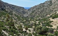 Le village de Pyrgos en Crète. Les gorges de Martsalo (auteur Dretakis Manolis). Cliquer pour agrandir l'image.
