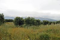 La cité antique d'Aptera en Crète. Vue vers le théâtre et les Monts-Blancs. Cliquer pour agrandir l'image.