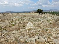 Le village de Thrapsano en Crète. Les ruines du palais minoen de Galatas (auteur Olaf Tausch). Cliquer pour agrandir l'image.