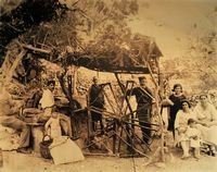 Le village de Vamos en Crète. Sériciculture au musée ethnographique de Gavalochori. Cliquer pour agrandir l'image.