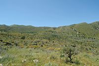 Le village de Vamos en Crète. Le mont Drapanokefala à l'arrière de la crique d'Omprosgialos. Cliquer pour agrandir l'image.