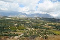 Le village de Zaros en Crète. Le canton de Zaros vu depuis la colline du labyrinthe à Roufas. Cliquer pour agrandir l'image.
