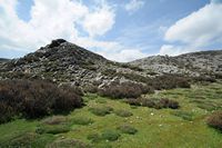 La ville d’Anogia en Crète. La zone de Petradolakia. Cliquer pour agrandir l'image.