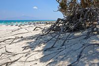 La côte sud de la commune d’Iérapétra en Crète. Plage de l'île de Chryssi (auteur G. Salaveris). Cliquer pour agrandir l'image.