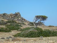 La côte sud de la commune d’Iérapétra en Crète. Sommet volcanique de l'île de Chryssi (auteur Argymed). Cliquer pour agrandir l'image.