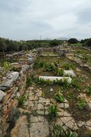 La ville de Pérama en Crète. Nef nord des ruines de la basilique Sainte-Sophie de Panormos. Cliquer pour agrandir l'image.