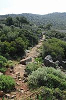 La ville de Pérama en Crète. Végétation près de Sissès. Cliquer pour agrandir l'image.