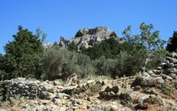 Paleo Pyli fortress on the island of Kos (author Karelj). Click to enlarge the image.